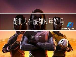 湖北人在成都过年好吗