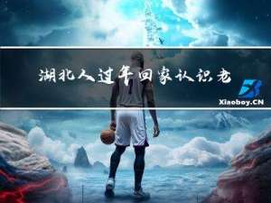 湖北人过年回家认识老乡