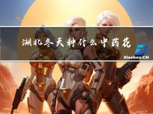 湖北冬天种什么中药花