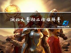 湖北大年初二给谁拜年的