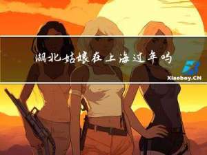 湖北姑娘在上海过年吗
