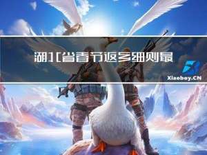 湖北省春节返乡细则最新