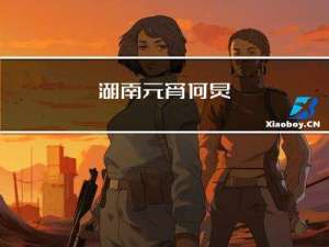 湖南元宵何炅