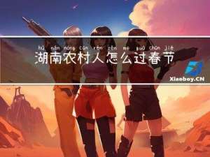 湖南农村人怎么过春节作文