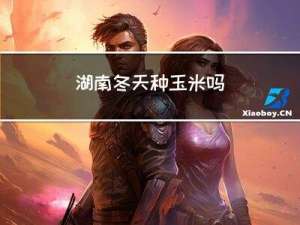 湖南冬天种玉米吗