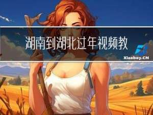 湖南到湖北过年视频教程