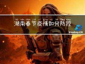 湖南春节疫情如何防控作文