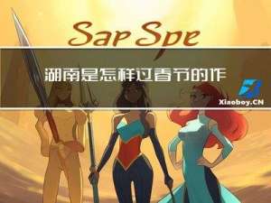 湖南是怎样过春节的作文