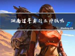 湖南过年卖什么挣钱呢