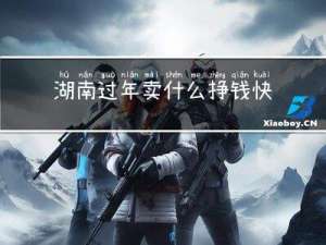 湖南过年卖什么挣钱快