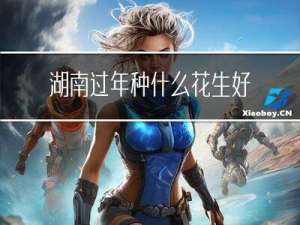 湖南过年种什么花生好呢