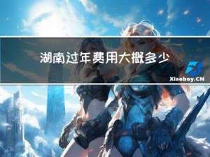 湖南过年费用大概多少
