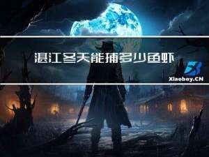 湛江冬天能捕多少鱼虾