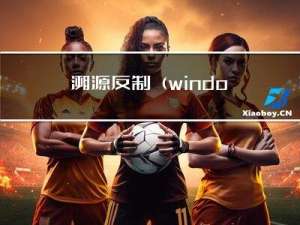 溯源反制（windows）