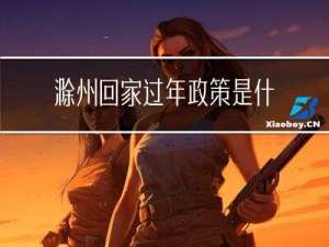 滁州回家过年政策是什么