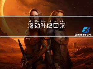 滚动升级回滚