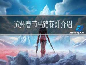 滨州春节马路花灯介绍