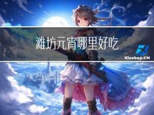 潍坊元宵哪里好吃