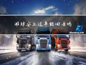 潍坊安丘过年能回去吗