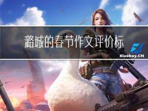 潞城的春节作文评价标准