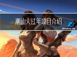 潮汕人过年项目介绍