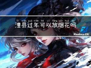 澧县过年可以放烟花吗吗