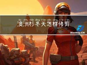 澳洲杉冬天怎样修剪