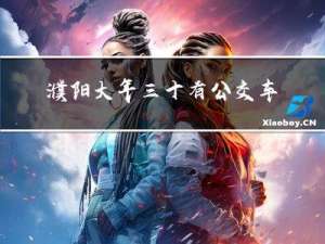 濮阳大年三十有公交车吗
