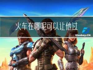 火车在哪呢可以让他过大年
