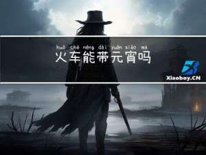 火车能带元宵吗