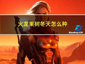火龙果树冬天怎么种