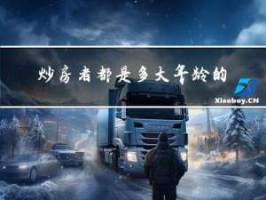 炒房者都是多大年龄的了