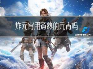 炸元宵用煮熟的元宵吗