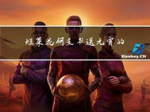 烂菜花何支书送元宵的意思