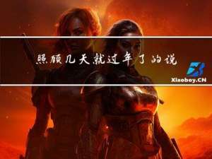 照顾几天就过年了的说说