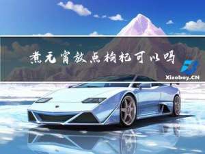 煮元宵放点枸杞可以吗