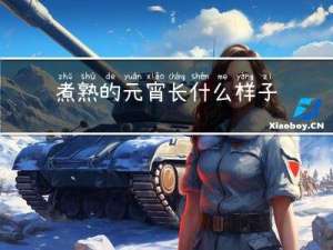 煮熟的元宵长什么样子的