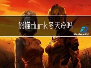 熊猫dunk冬天冷吗