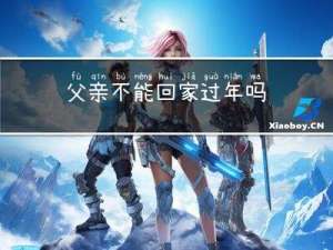 父亲不能回家过年吗