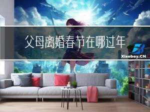 父母离婚春节在哪过年