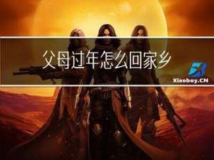 父母过年怎么回家乡