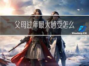 父母过年最大感受怎么写