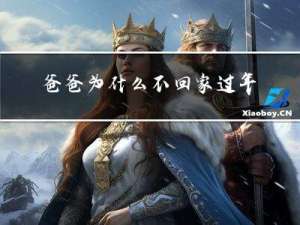 爸爸为什么不回家过年英语