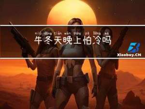牛冬天晚上怕冷吗