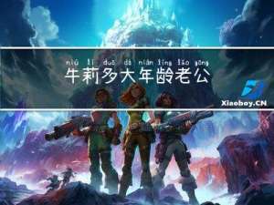 牛莉多大年龄老公