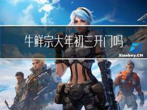 牛鲜宗大年初三开门吗
