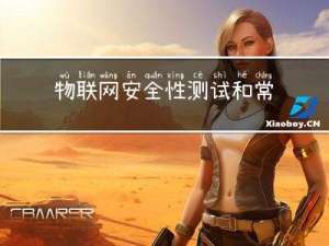 物联网安全性测试和常见漏洞