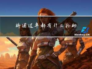 特困过年都有什么补助
