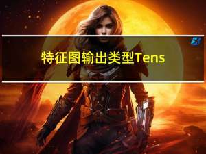 特征图输出类型 Tensor或Tuple