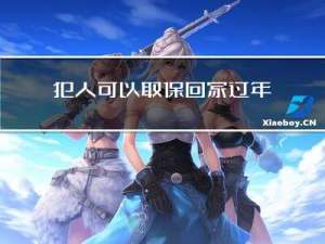 犯人可以取保回家过年吗